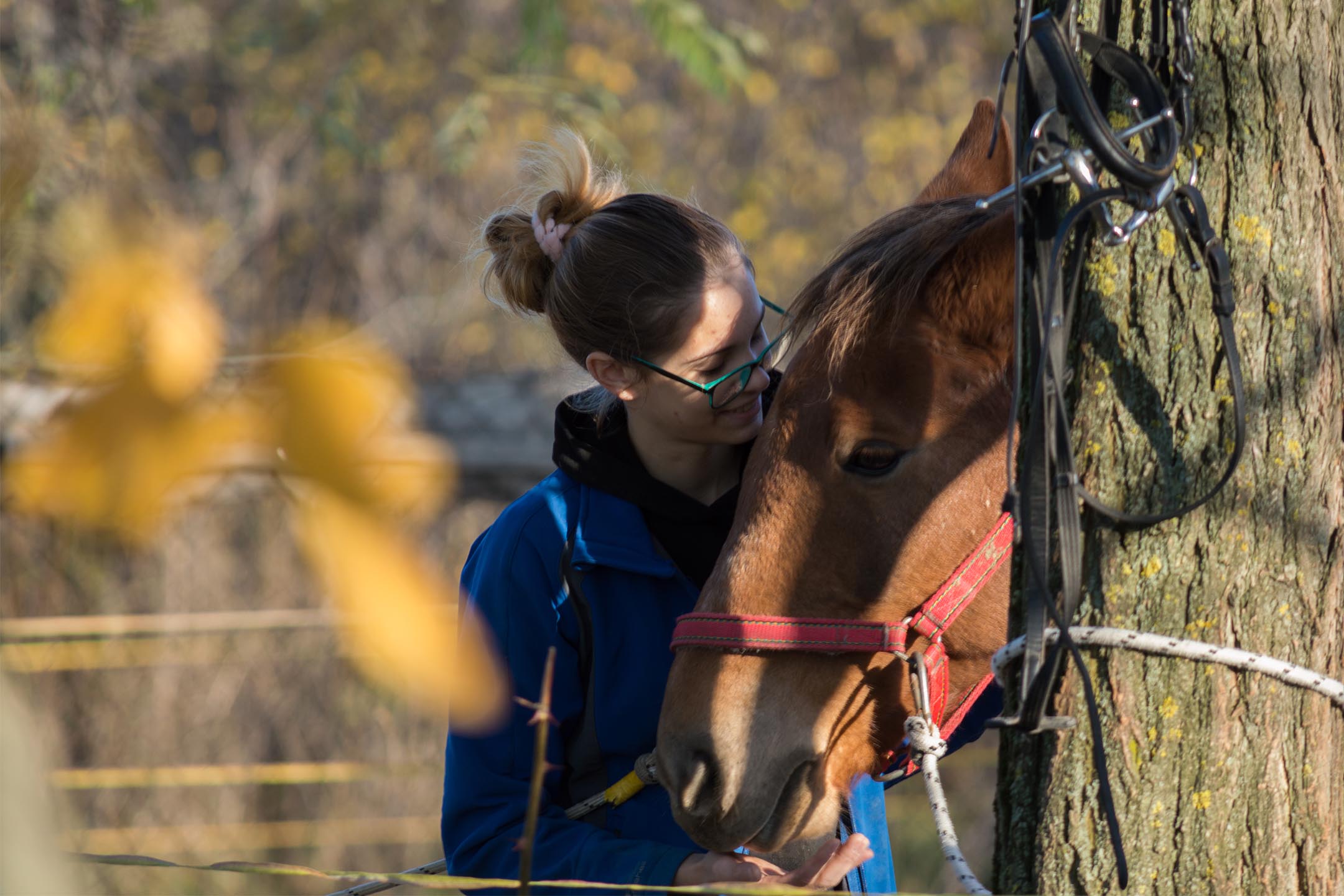 Lovas fotózás Zentán